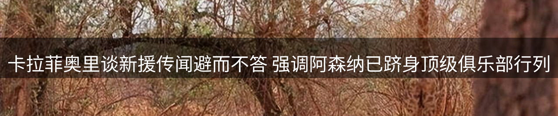 内页banner