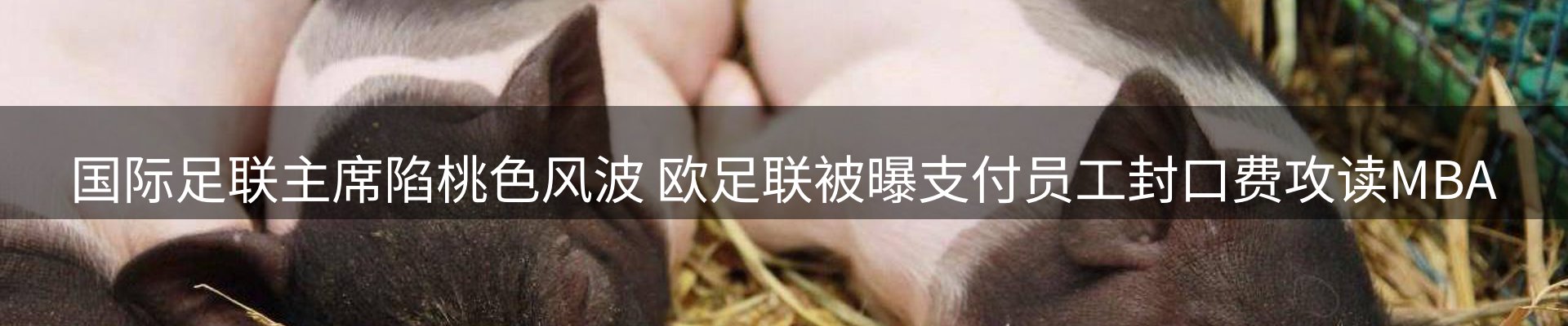 内页banner