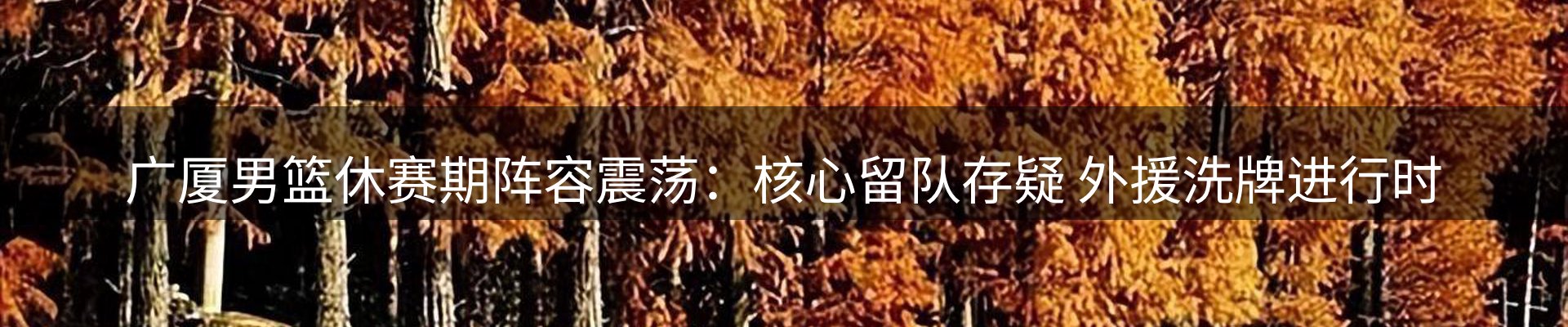 内页banner